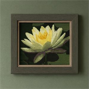 Photograph of product.